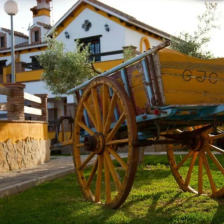 Pinos Zahora